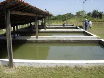 Foto da Cidade